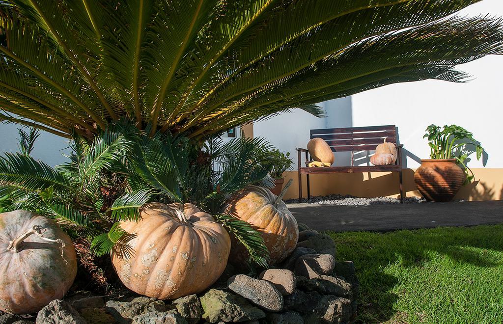Vila Belgica Bed & Breakfast Horta  Exterior foto
